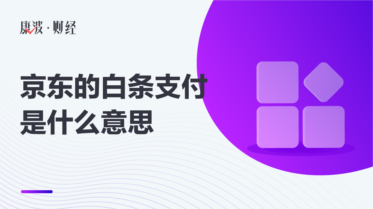 京东的白条支付是什么意思