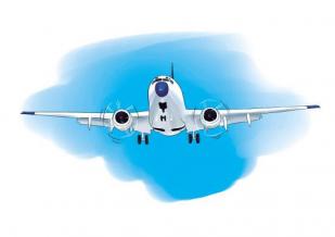 航空意外险,信用卡,意外险,航空,金卡信用卡,配偶,普卡,白金卡,金卡,保额,联名卡