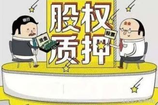 股权质押,股东,股权,质押股份,外商,前提条件,投资者,期限,股东决议,质押,监事