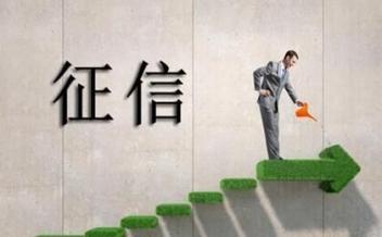 征信报告,贷款,信用,报告内容,借款人,征信,贷款申请,检查报告,配偶,婚姻