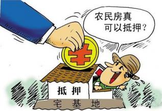 创业贷款,农村,借款,种植园,贷款,创业,账户资金,富民,创业富民,果园,大城市
