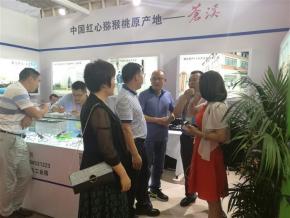 钱后,逾期,老鸟,借款人,一封信,客户经理,罚息,催收,利滚利,滞纳金,贷款