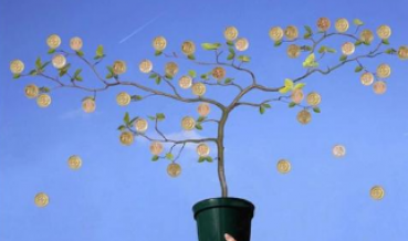 白领贷,麦子,申请,申请贷款,贷款,资金需求,借款人,额度,康波,信用卡,名校