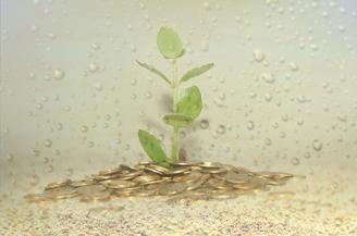 ,微粒,开通,征信报告,银行卡,京东白条,手机qq钱包,百度,基数