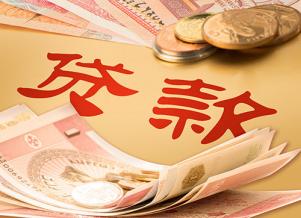 ,贷款,利息,公积金贷款,借款人,利率,营业执照,康波,贷款期限,住房贷款,个人贷款