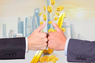 网贷,征信,征信,借款人,拍拍贷,征信报告,欠款,康波,逾期利息,芝麻,芝麻信用