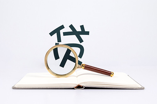 贷款,信用贷款,小额,抵押,平台贷款,费率,信用,借款人,口碑,线上,高利贷