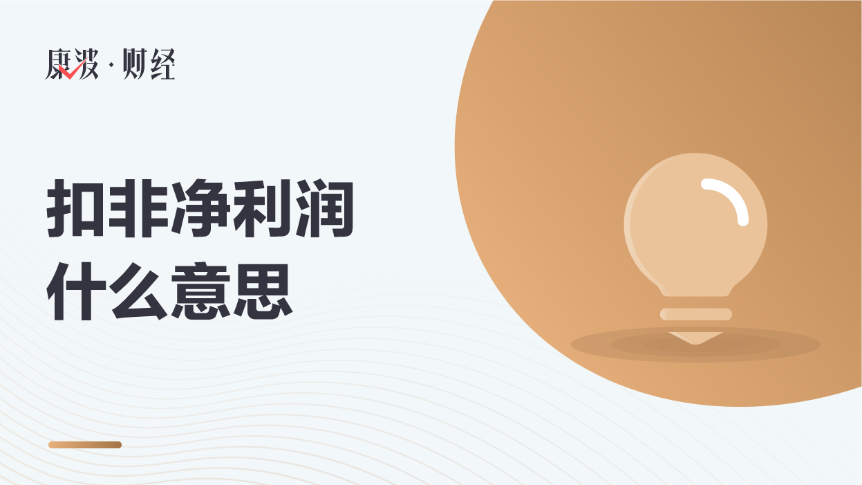 净利润,非经常性损益,股东,上市公司,可持续,合并报表,营业收入,股东损益,税费,损益,收益