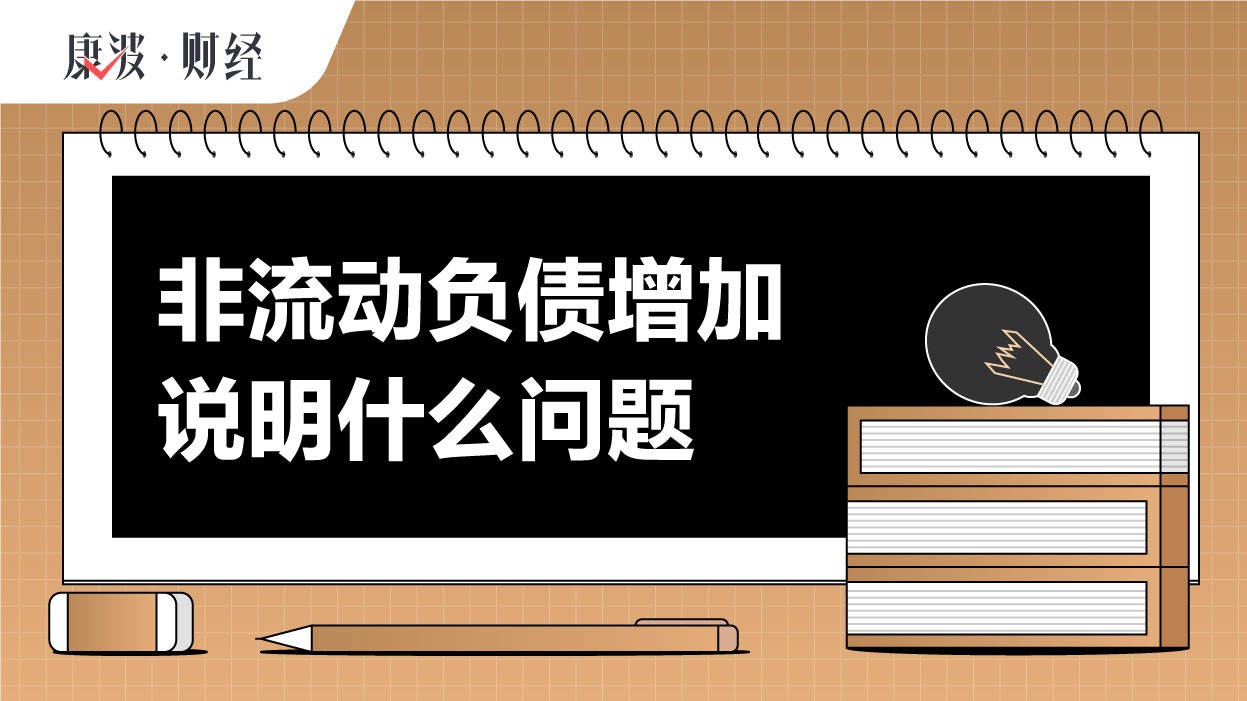 负债,债务,流动,应付款,偿还期,债券,项目,盈利,增加,资产