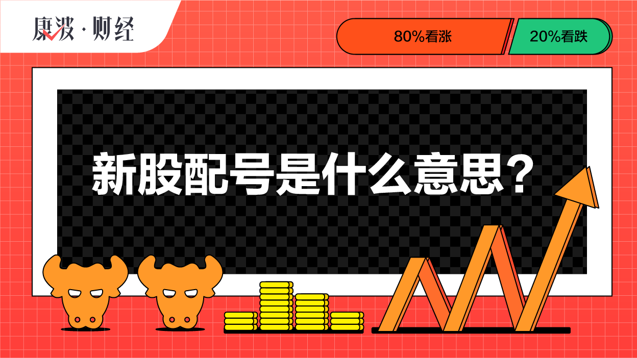 配号,号码,申购,投资者,新股,查询,办理,手续,发放,意思