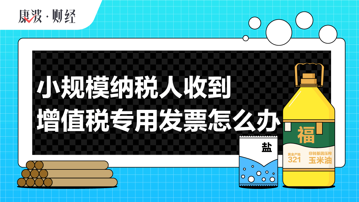 纳税人,发票,规模,进项,金额,增值税,抵扣,费用,成本,账务