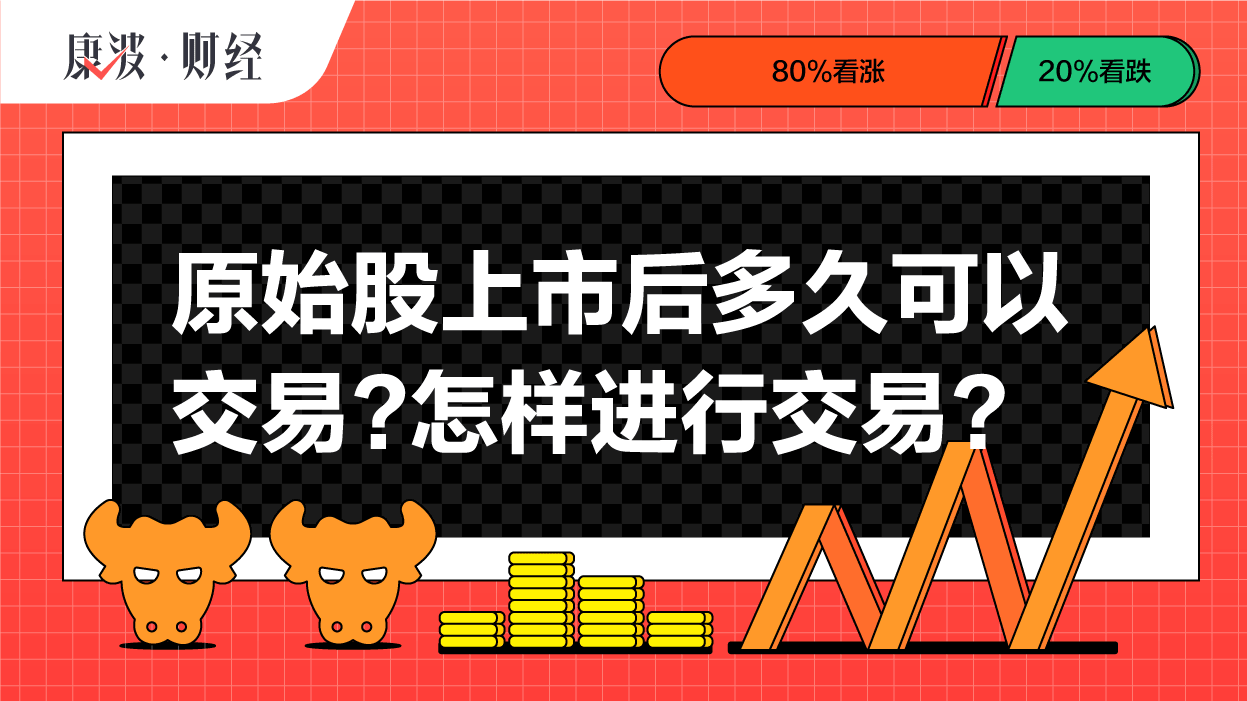 股份,原始股,上市,股票,设立,发行,转让,募集,发起人,交易所