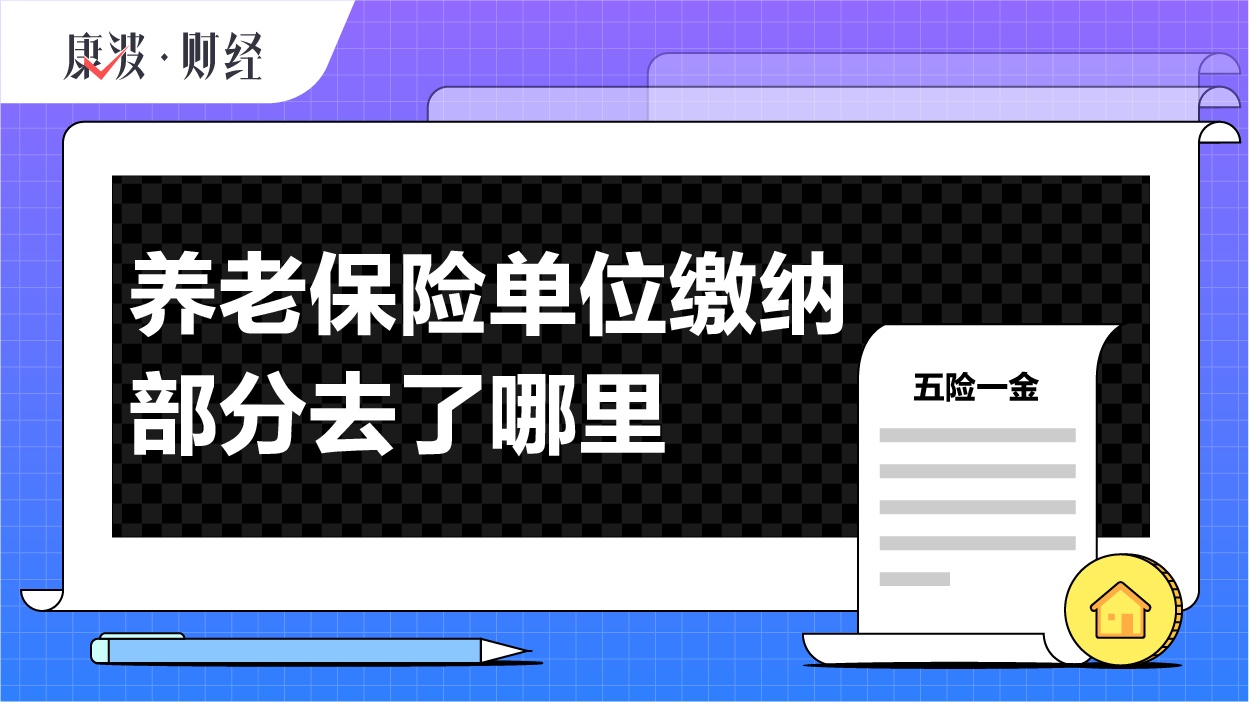 账户,养老金,缴纳,保险,领取,存入,统筹,参保,单位,缴费