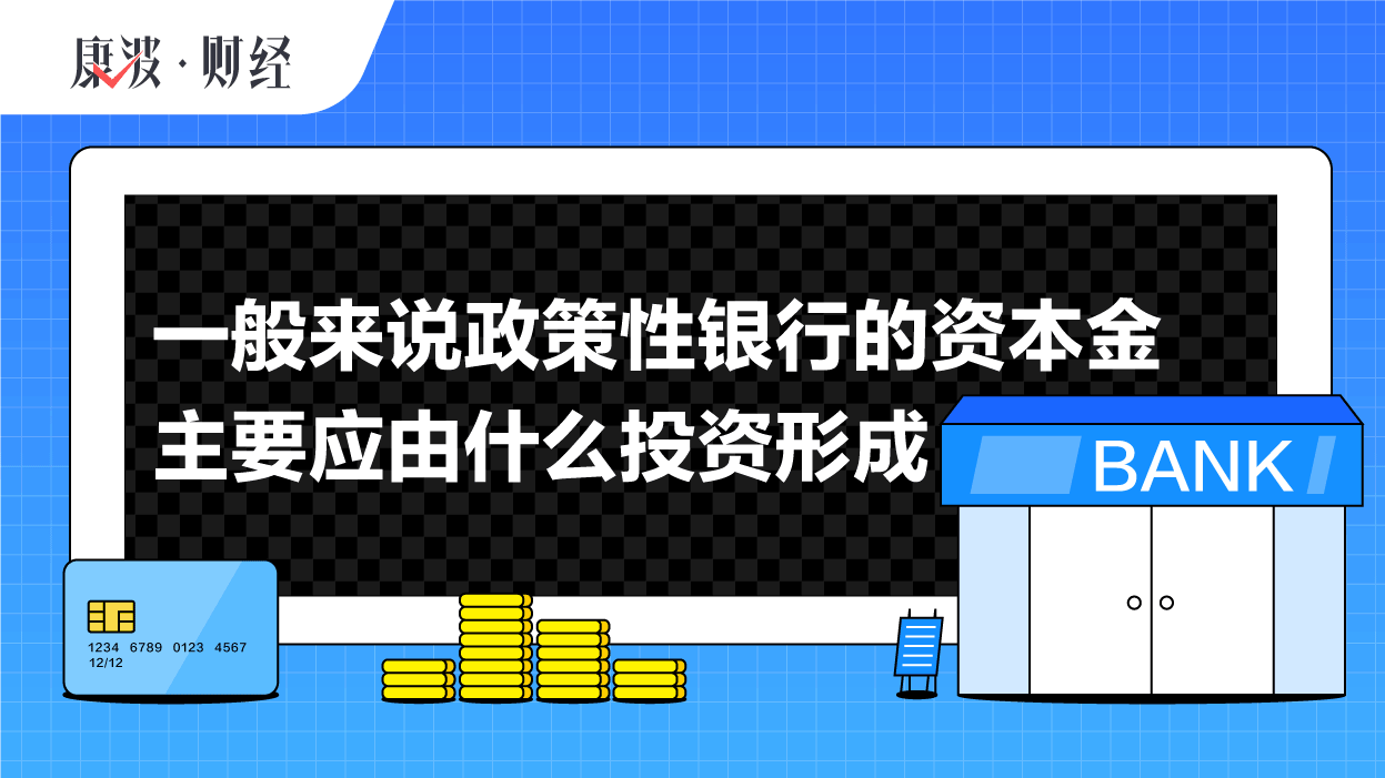 政策性,政府,银行,资本金,金融,资金,专业性,盈利,预算,贷款