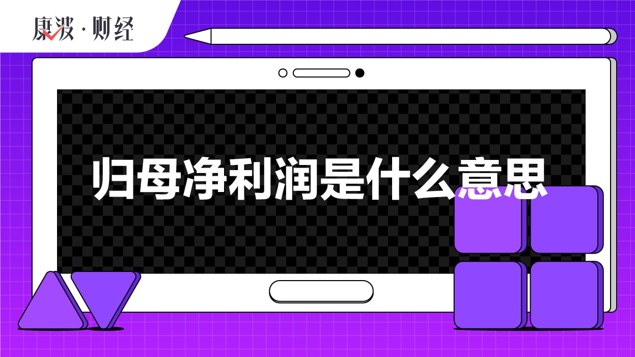 净利润,母公司,归母,子公司,全资,数额,扣除,归属,盈利,交易