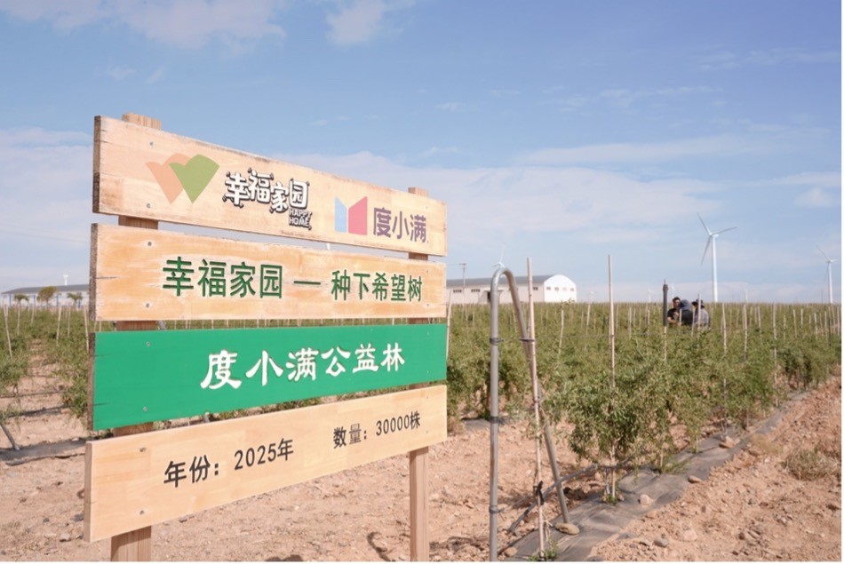 （宁夏中宁县度小满公益林）
